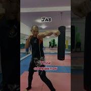Mike Tyson Combo Boxing Fighter Miketyson Mma Training Lesson