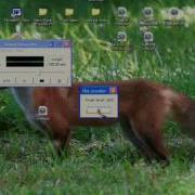 OLD My Autoit Creations