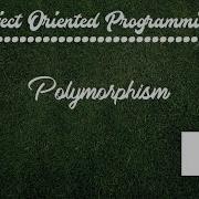 Polymorphism In OOP 7