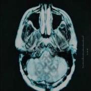 Breaking Benjamin Without You Lyrics