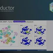 Enhanced Deconvolution And Prediction Of Mutational Signatures