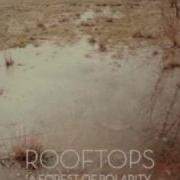 Rooftops Tear As I Fly