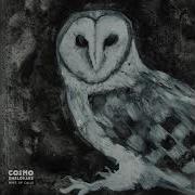 Cosmo Sheldrake Dunnock