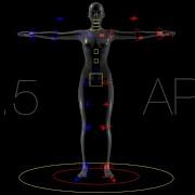 Character Rigging In Houdini 20 5 FULL BIPED APEX RIG