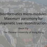 10 Maximum Parsimony For Phylogenetic Tree Reconstruction II