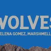 Selena Gomez Marshmello Wolves Lyrics