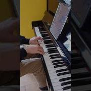 Torn Ava Max Piano Cover
