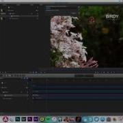 Motion Tracking With Apple Motion