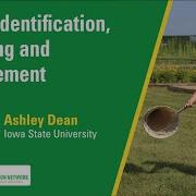 Insect Identification Sampling And Management