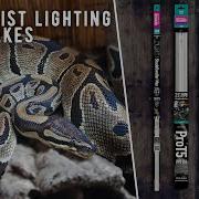 ShadeDweller Max At Long Last A UV B Lamp Designed For Snakes