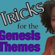 How To Customize Genesis WordPress Themes