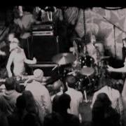 MONARCH 11 05 10 924 Gilman St Berkeley CA FULL SET