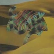 Django Django Waveforms