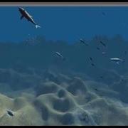 Unity Fish Shark Swarm AI