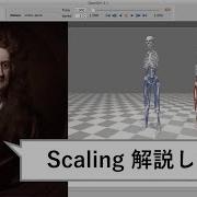 OpenSim Scaling完全解説 理学療法PTバイオメカニクス研究 3