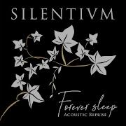 Forever Sleep Acoustic Reprise
