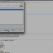 Eclipse Organization Mp4