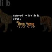 Normani Wild Side Ft Cardi B Normani Cardib Wildside