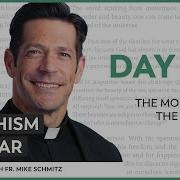 Day 237 The Morality Of The Passions The Catechism In A Year With Fr Mike Schmitz