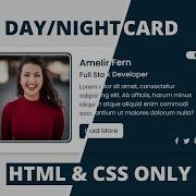 Режим день ночь с использованием только HTML и CSS Пользовательская кнопка переключатель флажок