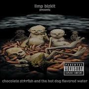 Limp Bizkit My Generation Official Audio