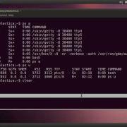 Process Control 1 The Ps Command