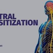 What Is Central Sensitization Jo Nijs Explains