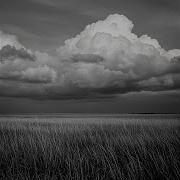 Under The Grey Sky
