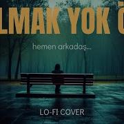 Emrah Yıkılmak Yok Öyle Hemen Arkadaş Gün Doğmadan Neler Doğar Bilinmez AI Cover