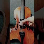 VIOLIN TUNING Shorts Violin Tuning Video