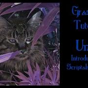 Unity 2020 2 Introduction To Scriptable Objects