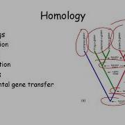 Sequence Similariity And Alignment