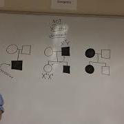 AP Biology Pedigree Tricks