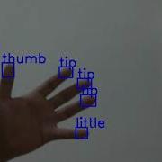 Yolov3 And OpenCV Python Fingertip Detection
