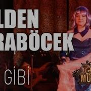 Gülden Karaböcek Kum Gibi