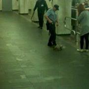 Взрыв сумки в Метро Инцидент с пассажиром на станции Площадь Победы Минского метрополитена