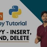 9 Numpy Insert Append Delete CloudyML