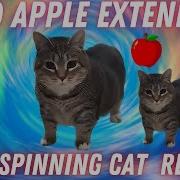 BAD APPLE OIIA SPINNING CAT EXTENDED