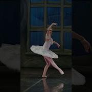 The Nutcracker Russian Ballet