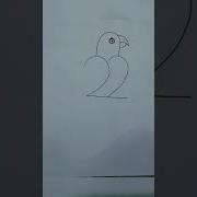Easy Parrot Drawing