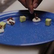 Why Eating Insects Makes Sense The Economist EuTBQOrpOmM
