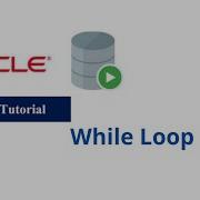 57 While Loop In Oracle PL SQL