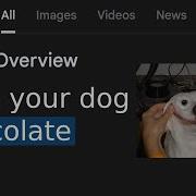 WORST AI Responses BEST OF 2025