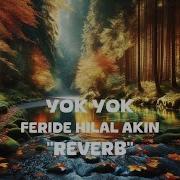Feride Hilal Akin Yok Yok Reverb Lyrics