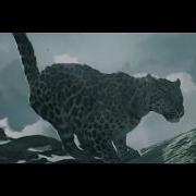 STIVE MORGAN Ice And Fire Music Video