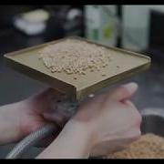 20 20 Seed Labs A Look At Germination Testing