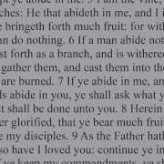 John 15 1 27 KJV Scripture Song Full Chapter