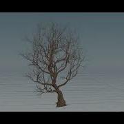 Houdini Tree 前几年做的工具