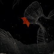 Movements Living Apology Official Lyric Video