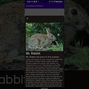 Fullscreen Modal Bottom Sheet Android